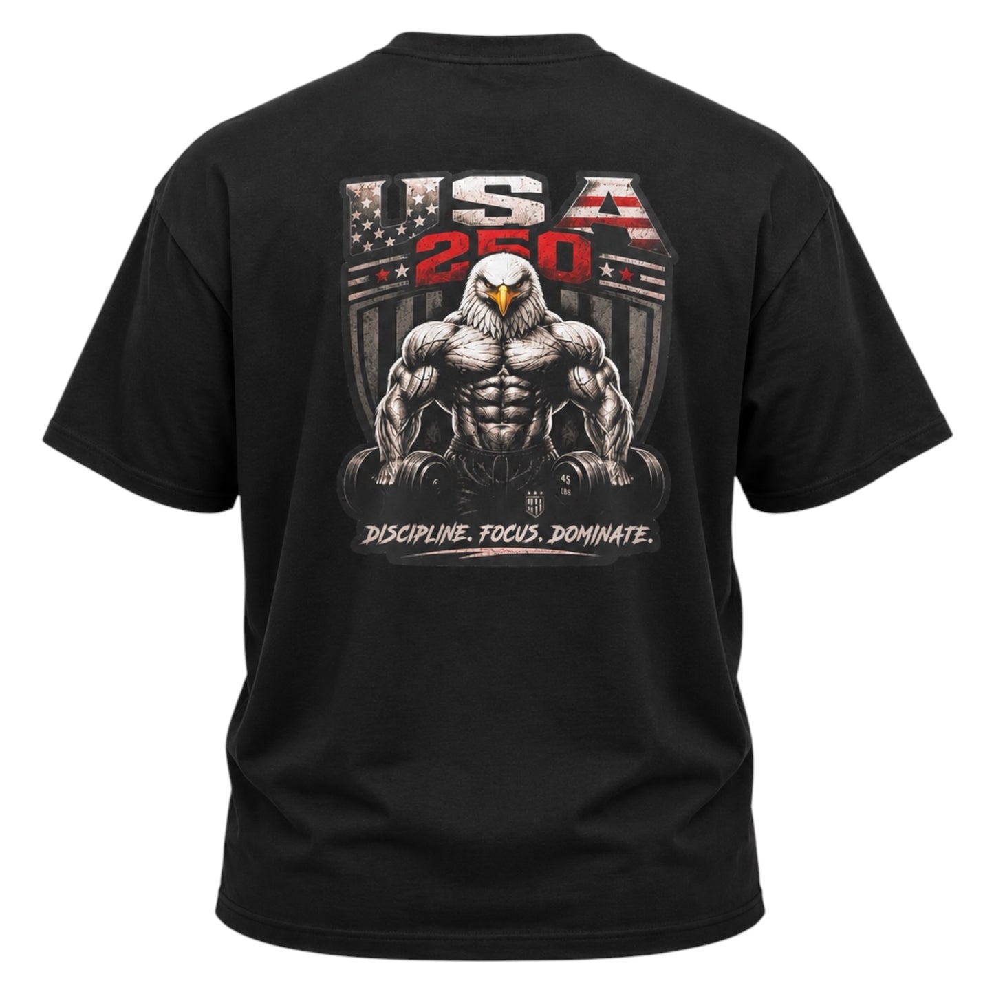 USA 250 Tee